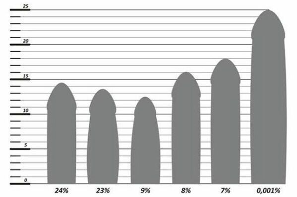 Статистика размера пениса
